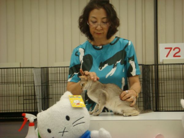 シンガプーラ