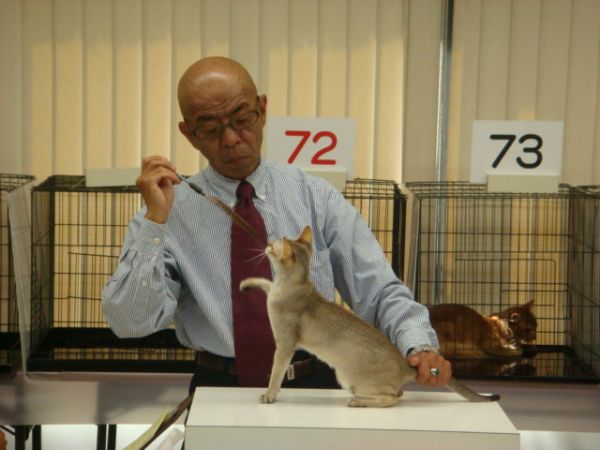 シンガプーラ